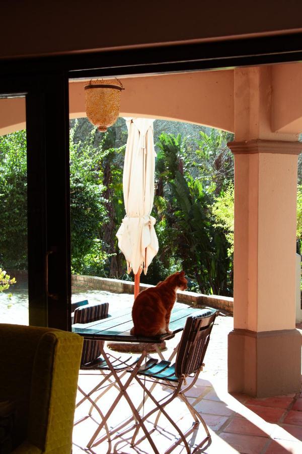 Southern Light Country House Cidade Do Cabo Exterior foto