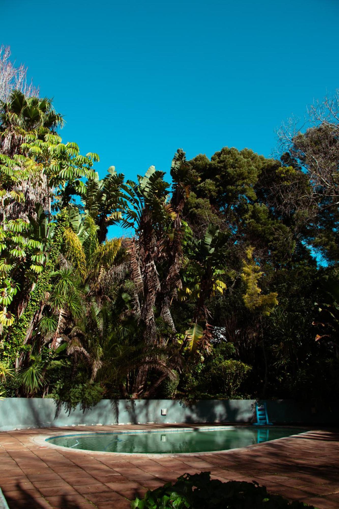 Southern Light Country House Cidade Do Cabo Exterior foto