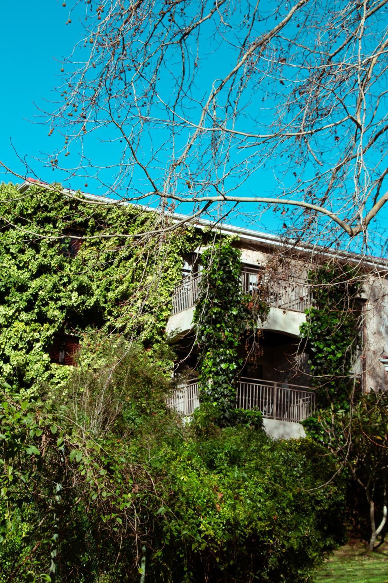 Southern Light Country House Cidade Do Cabo Exterior foto
